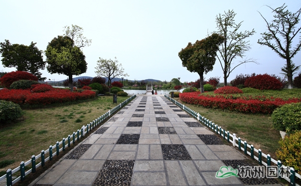 电竞比赛押注app