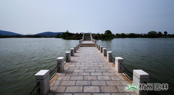 电竞比赛押注app