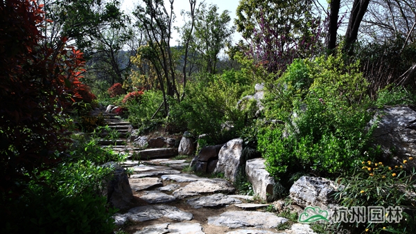 电竞比赛押注app