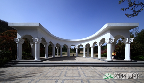 电竞比赛押注app