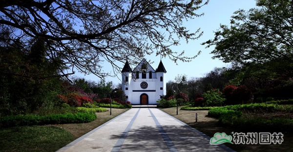 电竞比赛押注app