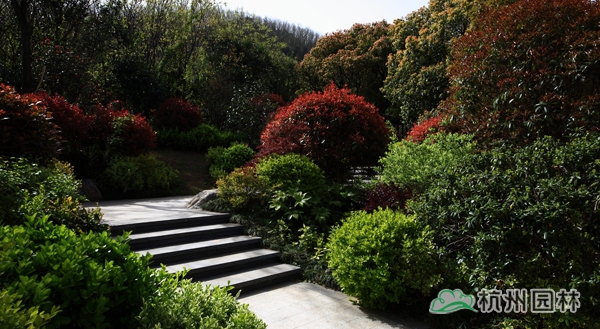 电竞比赛押注app