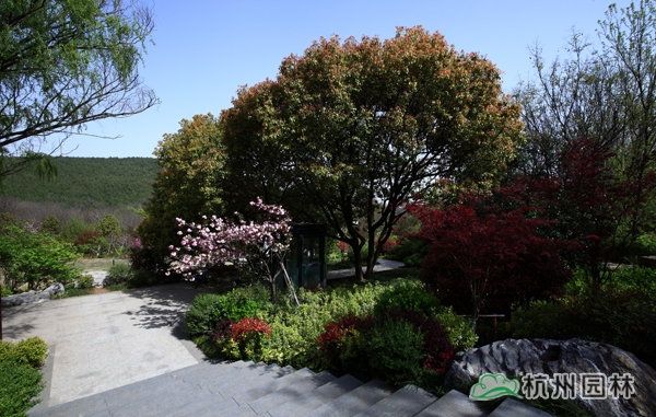 电竞比赛押注app