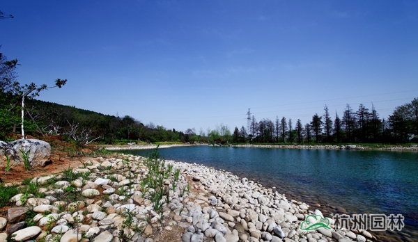 电竞比赛押注app