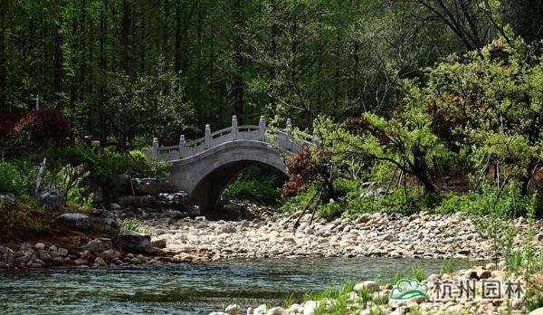 电竞比赛押注app