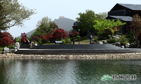 电竞比赛押注app