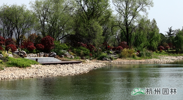 电竞比赛押注app