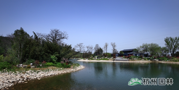 电竞比赛押注app