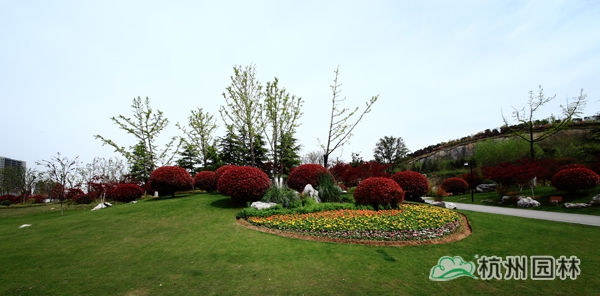 电竞比赛押注app