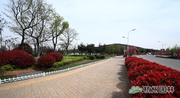 电竞比赛押注app