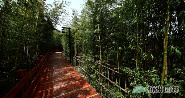 电竞比赛押注app