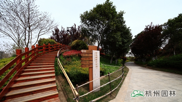 电竞比赛押注app