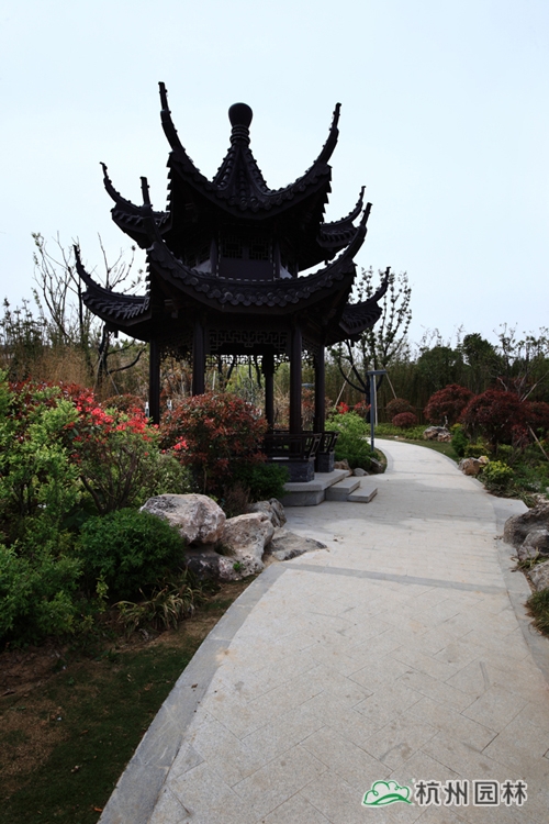 电竞比赛押注app