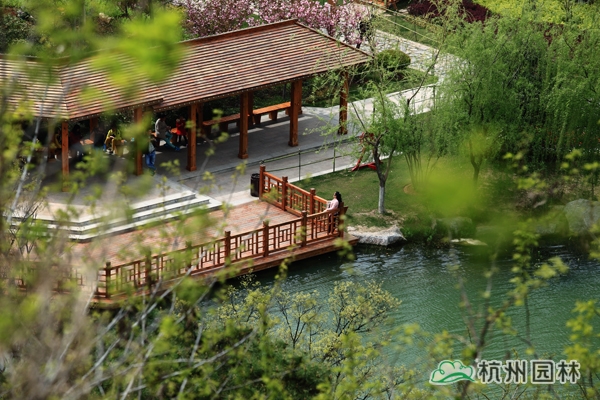 电竞比赛押注app