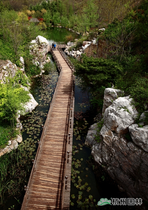 电竞比赛押注app