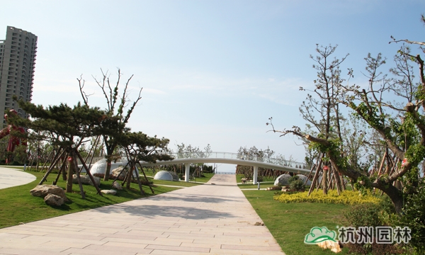 电竞比赛押注app