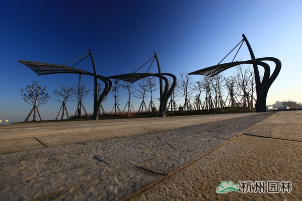 电竞比赛押注app