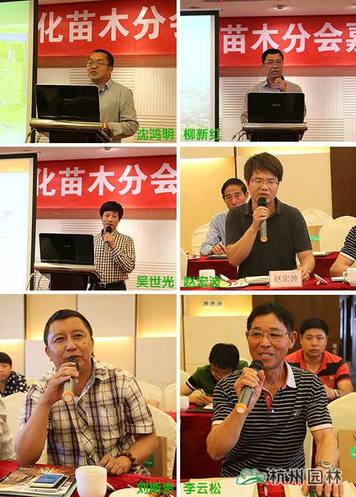 电竞比赛押注app