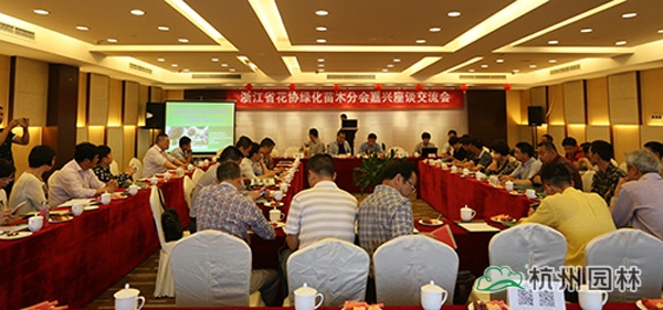 电竞比赛押注app