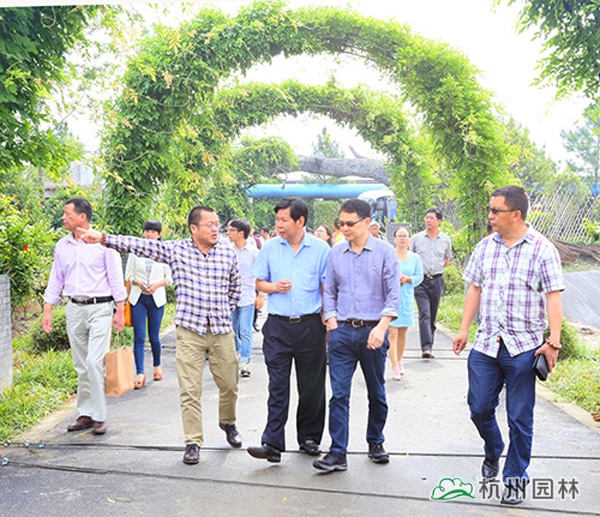 电竞比赛押注app