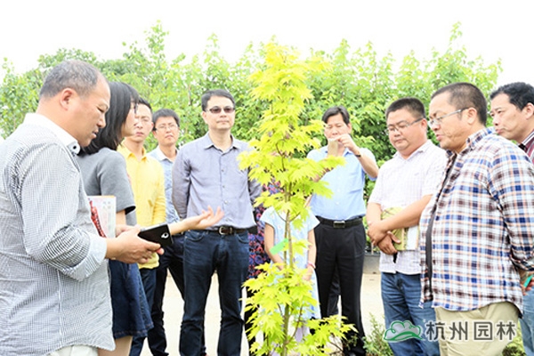 电竞比赛押注app