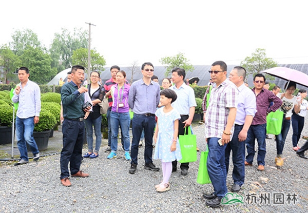 电竞比赛押注app