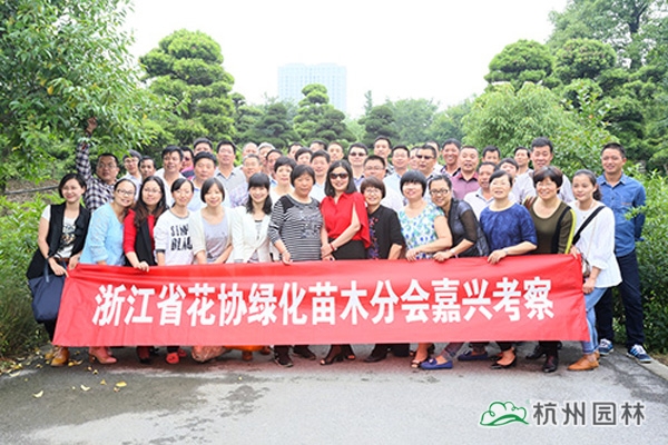 电竞比赛押注app