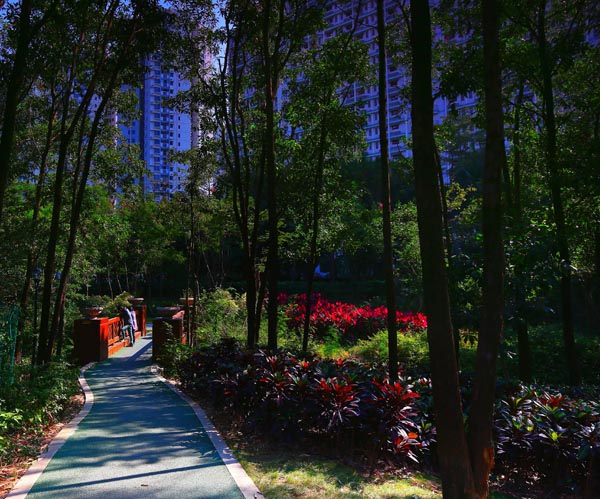 电竞比赛押注app