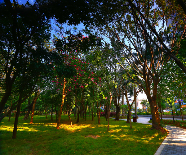 电竞比赛押注app