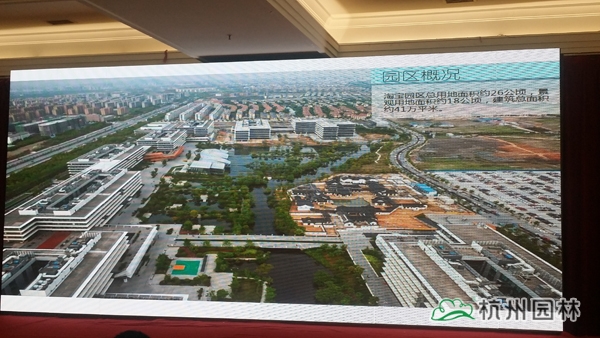 电竞比赛押注app