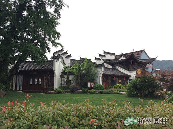 电竞比赛押注app