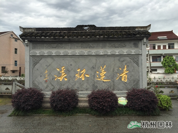 电竞比赛押注app