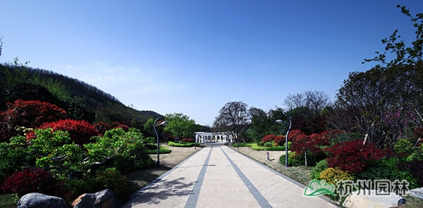 电竞比赛押注app