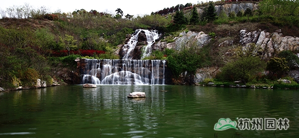 电竞比赛押注app