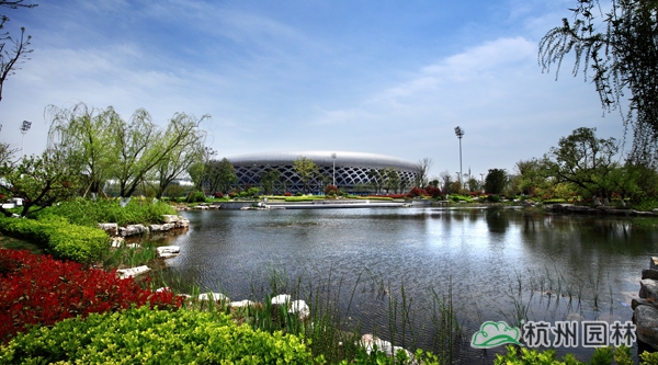 电竞比赛押注app