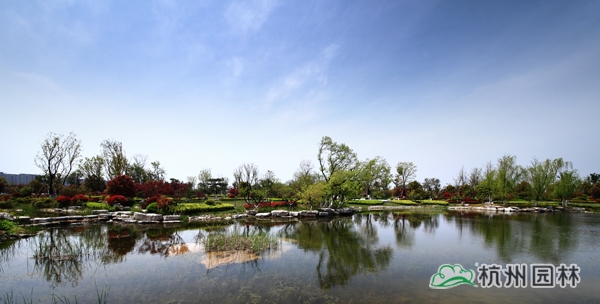 电竞比赛押注app