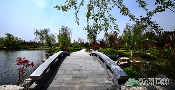 电竞比赛押注app