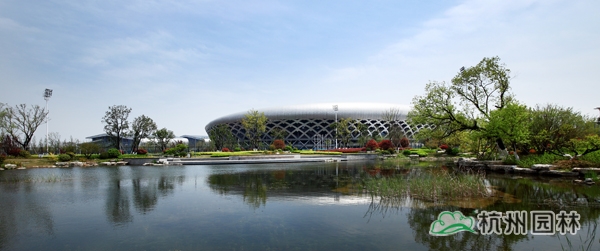 电竞比赛押注app