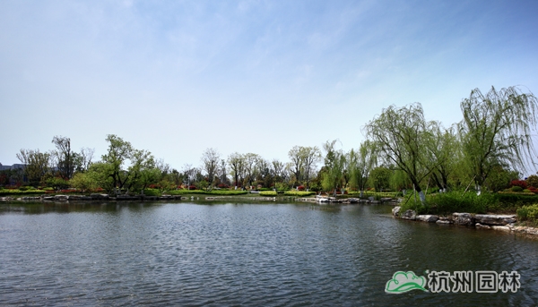 电竞比赛押注app