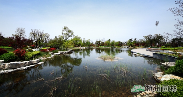 电竞比赛押注app