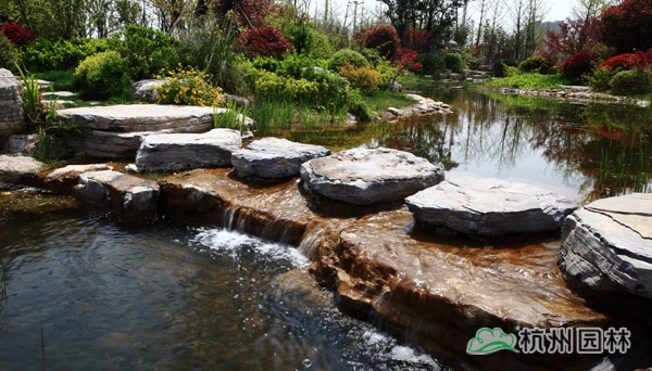 电竞比赛押注app