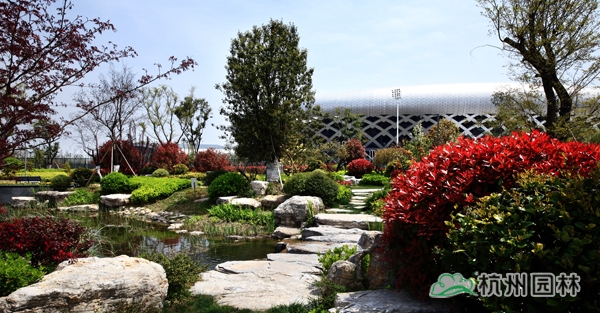 电竞比赛押注app