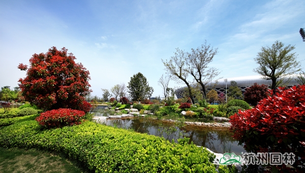 电竞比赛押注app