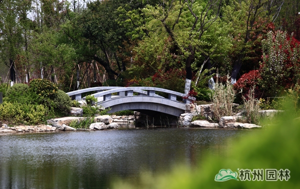 电竞比赛押注app