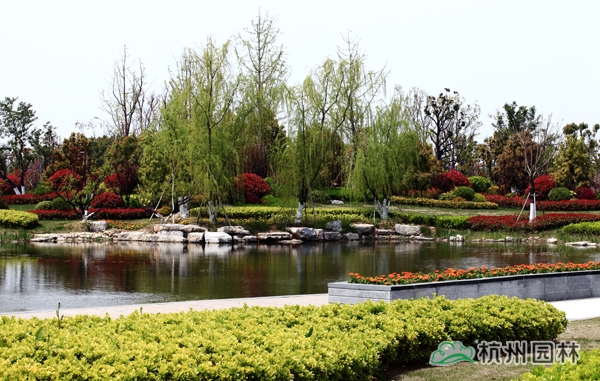 电竞比赛押注app