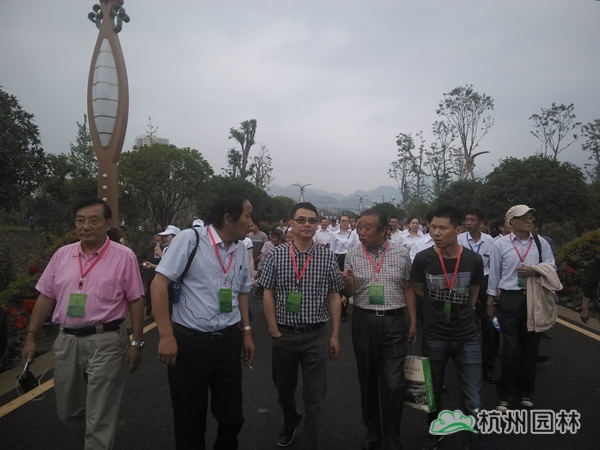 电竞比赛押注app