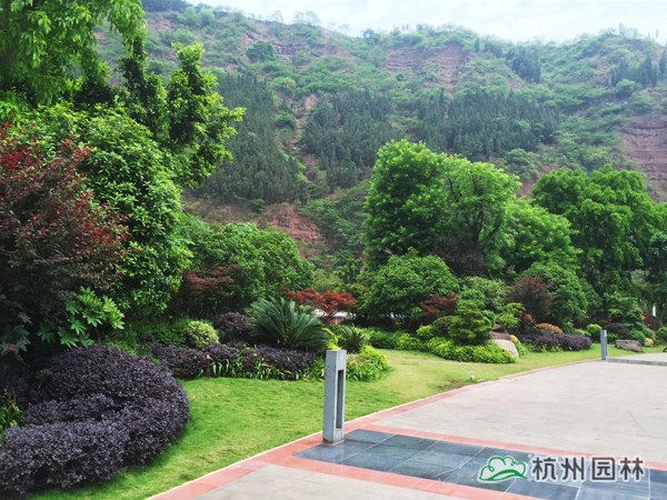 电竞比赛押注app