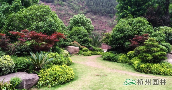 电竞比赛押注app