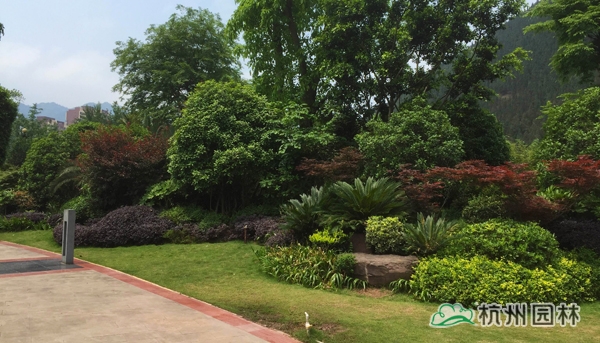 电竞比赛押注app