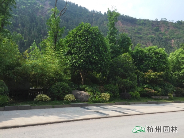 电竞比赛押注app